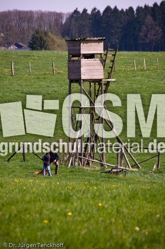 Hochstände (65 von 154).jpg